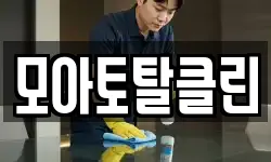 모아토탈클린