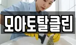 모아토탈클린