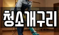 청소개구리
