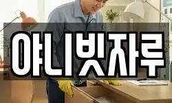 야니빗자루