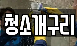청소개구리