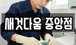새것다움 중앙점