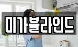 미가블라인드