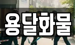 경남 창원시 진해구 청안동 이사,용달이사,포장이사,원룸이사,보관이사