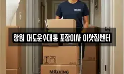 창원 대도운수대통 포장이사 이삿짐센터