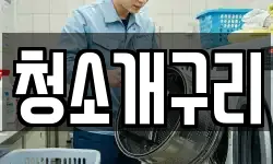 청소개구리