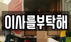 이사를부탁해