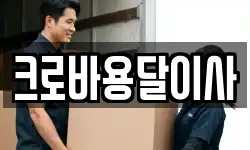 크로바용달이사