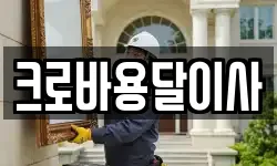 크로바용달이사
