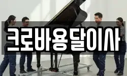 크로바용달이사