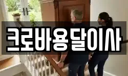 크로바용달이사