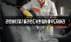 라인버티칼2블라인드커튼실사롤우드자바라