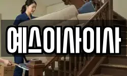 예스이사이사