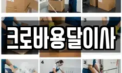 크로바용달이사