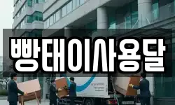 빵태이사용달