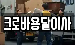 크로바용달이사