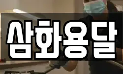 삼화용달