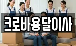 크로바용달이사
