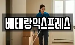 베테랑익스프레스