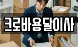 크로바용달이사