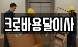 크로바용달이사