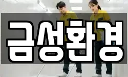 금성환경