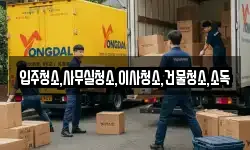 입주청소,사무실청소,이사청소,건물청소,소독
