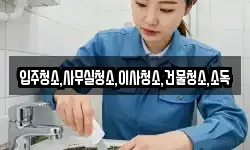 입주청소,사무실청소,이사청소,건물청소,소독