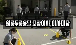 원룸투룸용달,포장이사,이사마당