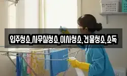 입주청소,사무실청소,이사청소,건물청소,소독