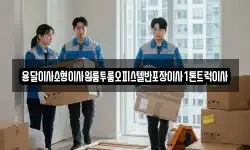 용달이사소형이사원룸투룸오피스텔반포장이사1톤트럭이사