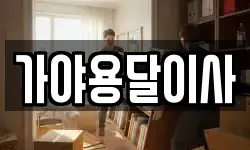 가야용달이사