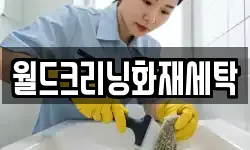월드크리닝화재세탁