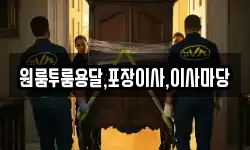 원룸투룸용달,포장이사,이사마당