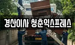 경산이사 청춘익스프레스