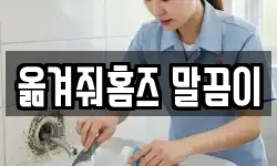 옮겨줘홈즈 말끔이