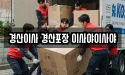 경산이사 경산포장 이사야이사야