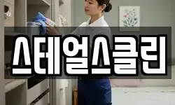 스테얼스클린