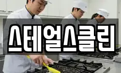 스테얼스클린