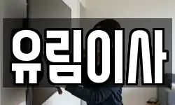 유림이사