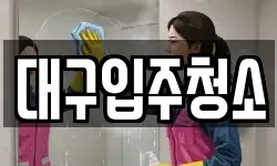 대구입주청소