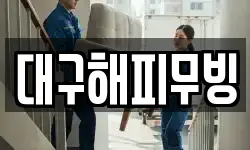 대구해피무빙