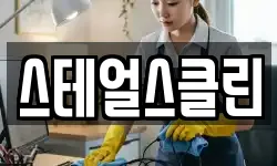 스테얼스클린