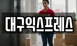 대구익스프레스