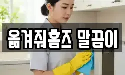 옮겨줘홈즈 말끔이
