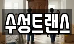 수성트랜스