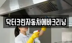 닥터크린자동차에바크리닝