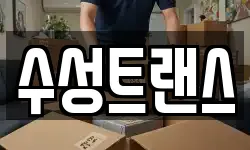 수성트랜스
