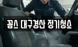꼼스 대구경산 정기청소