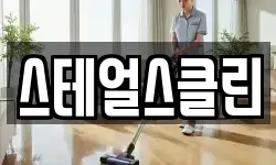 스테얼스클린